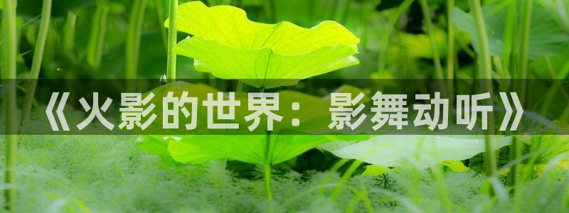 腐漫画网肉：《火影的世界：影舞动听》