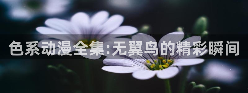 腐漫画网下载：色系动漫全集:无翼鸟的精彩瞬间